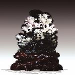 ������Ƭ